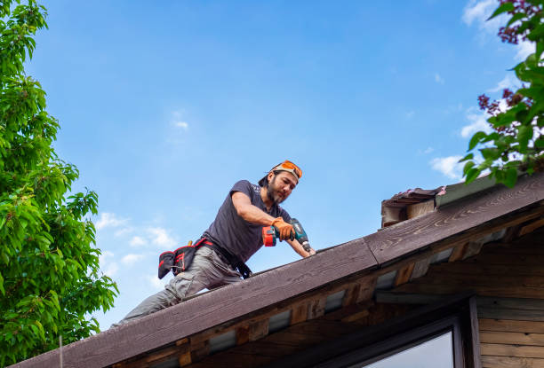 Best Asphalt Shingles Roofing  in Spencer, TN